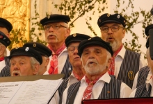 Foto: Anika Knieper